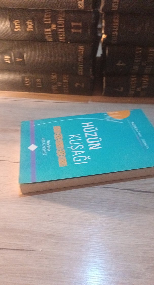 Hüzün Kuşağı/MALİK OTARBAYEV - Görsel 3