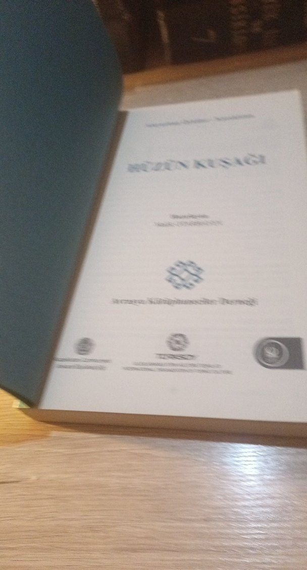 Hüzün Kuşağı/MALİK OTARBAYEV - Görsel 4