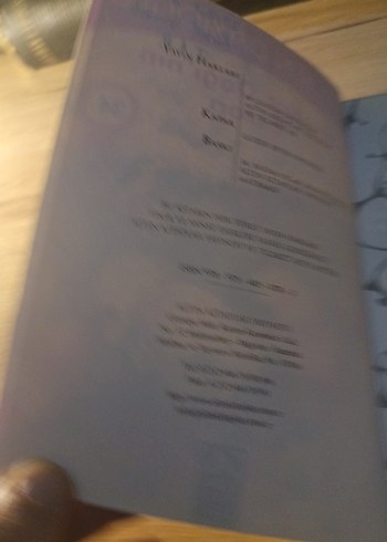 Parbat Dağı'nın Esrarı - Gülten Dayıoğlu - Görsel 4