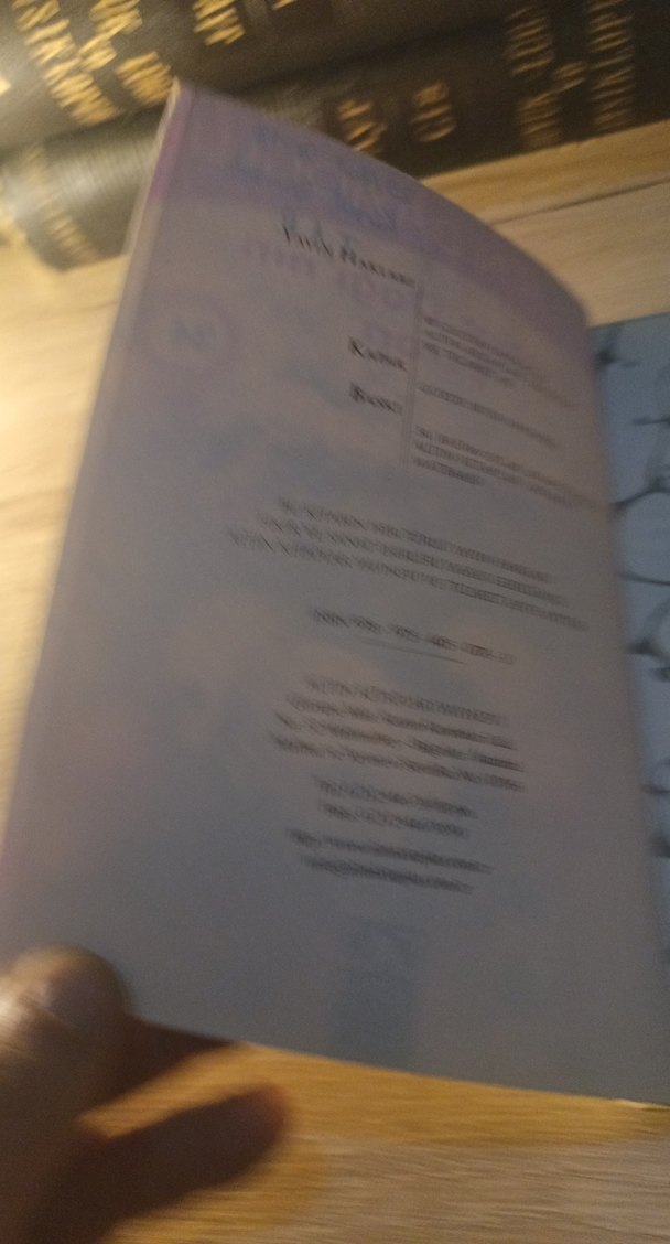 Parbat Dağı'nın Esrarı - Gülten Dayıoğlu - Görsel 4