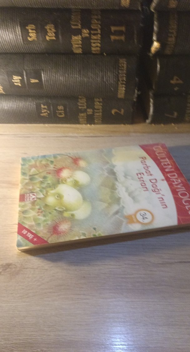 Parbat Dağı'nın Esrarı - Gülten Dayıoğlu - Görsel 3