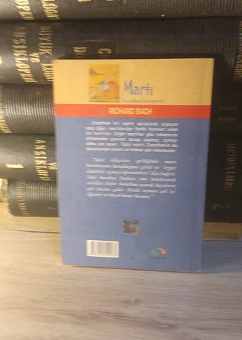 Martı Jonathan Livingston - Richard Bach Kitabı - Görsel 2