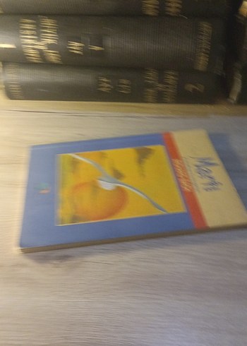 Martı Jonathan Livingston - Richard Bach Kitabı - Görsel 3