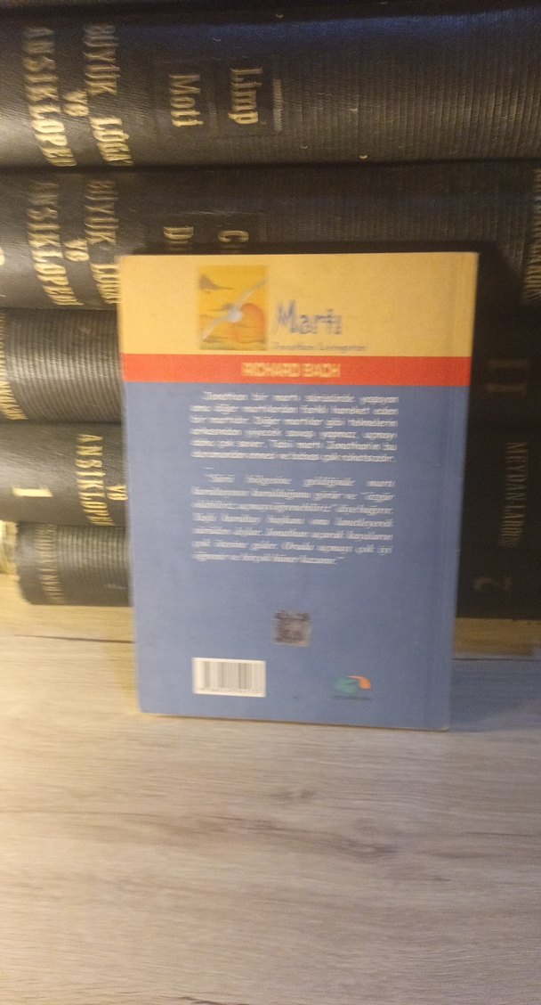 Martı Jonathan Livingston - Richard Bach Kitabı - Görsel 2