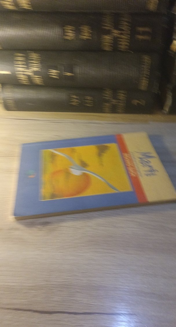 Martı Jonathan Livingston - Richard Bach Kitabı - Görsel 3