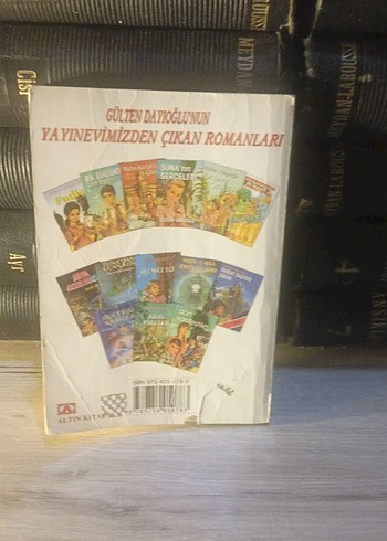 Parbat Dağının Esrarı - Gülten Dayıoğlu - Görsel 2