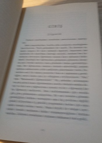 Montessori Çılgınlığı! - Trevor Eissler - Görsel 5