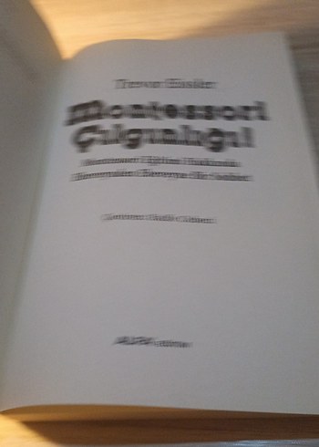 Montessori Çılgınlığı! - Trevor Eissler - Görsel 3