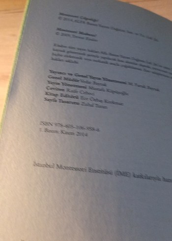 Montessori Çılgınlığı! - Trevor Eissler - Görsel 4