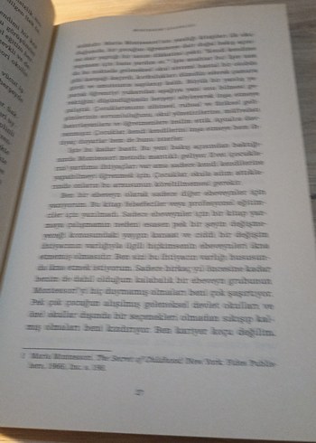 Montessori Çılgınlığı! - Trevor Eissler - Görsel 6
