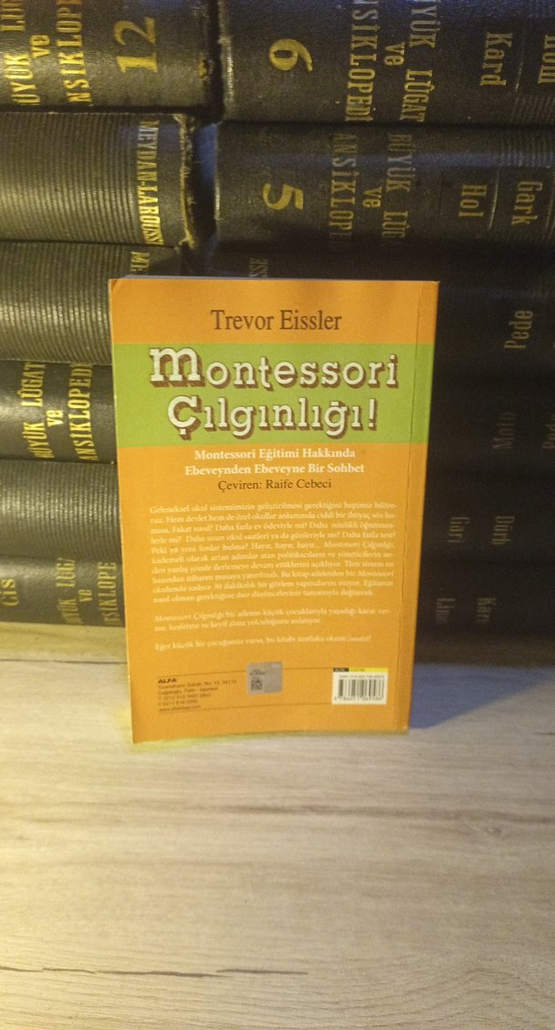 Montessori Çılgınlığı! - Trevor Eissler - Görsel 2