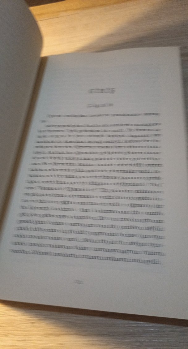 Montessori Çılgınlığı! - Trevor Eissler - Görsel 5