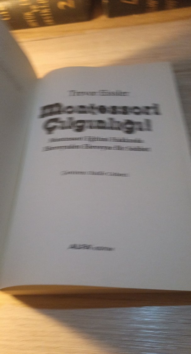 Montessori Çılgınlığı! - Trevor Eissler - Görsel 3