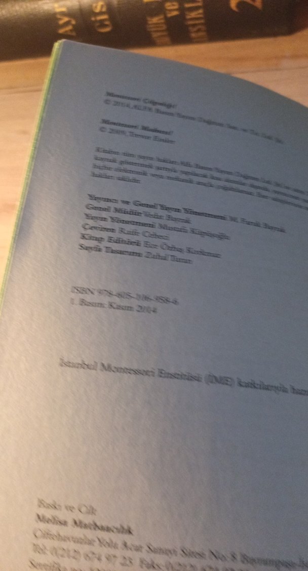 Montessori Çılgınlığı! - Trevor Eissler - Görsel 4
