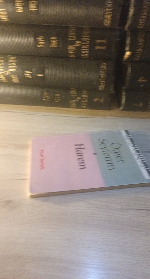 Ömer Seyfettin - Harem Romanı - Görsel 3