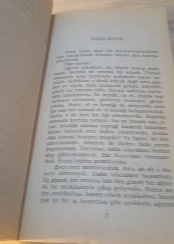 Muzaffer İzgü - Hırsız Köpek Mizah Kitabı - Görsel 5