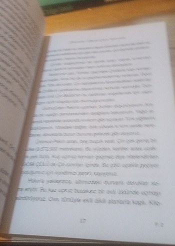 GÜLTEN DAYIOĞLU - Görsel 7