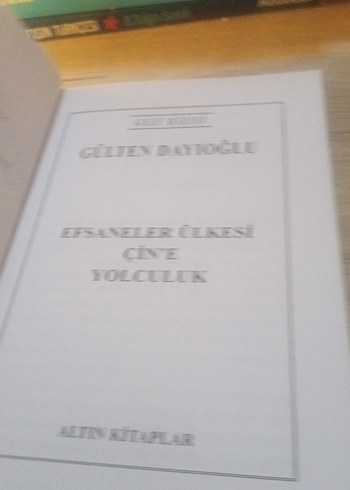 GÜLTEN DAYIOĞLU - Görsel 4