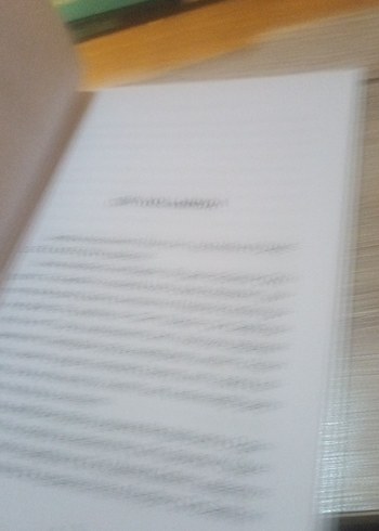 GÜLTEN DAYIOĞLU - Görsel 6