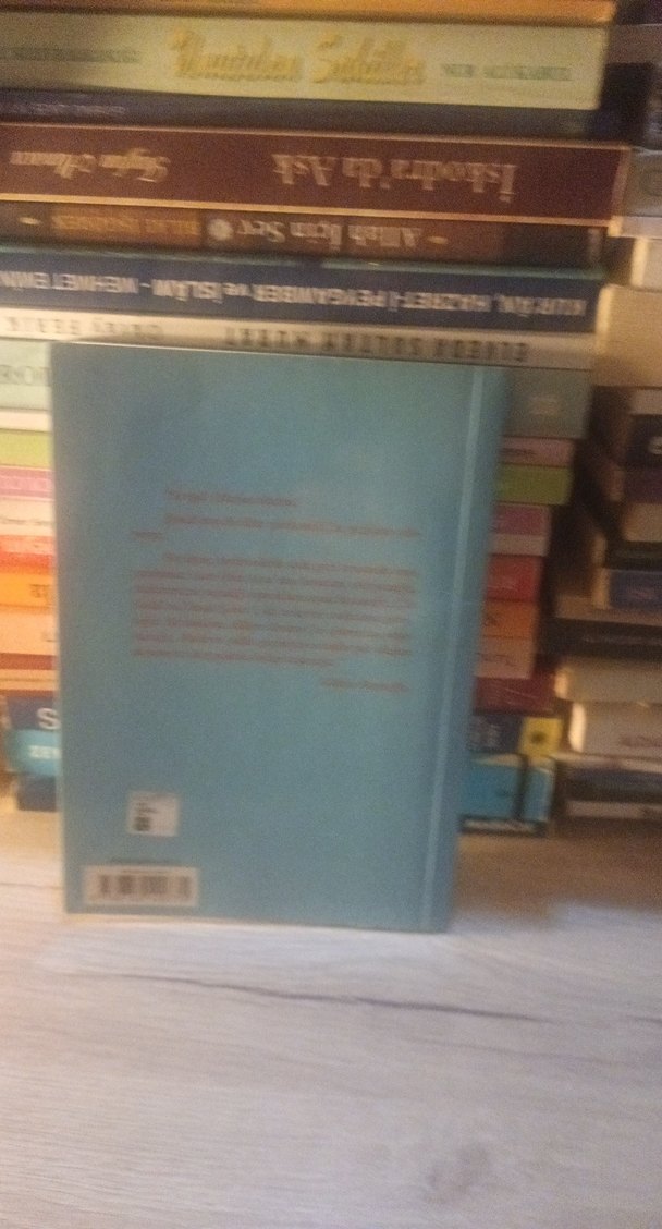 GÜLTEN DAYIOĞLU - Görsel 2