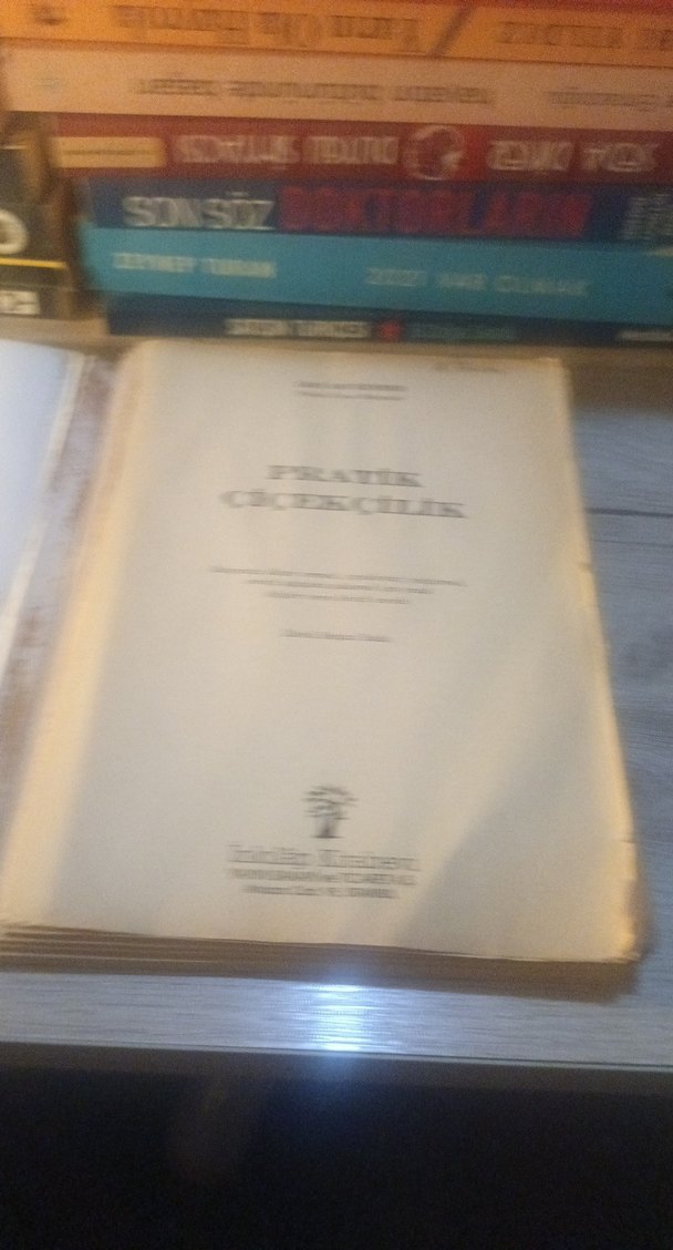 Pratik Çiçekçilik Kitabı - Görsel 3