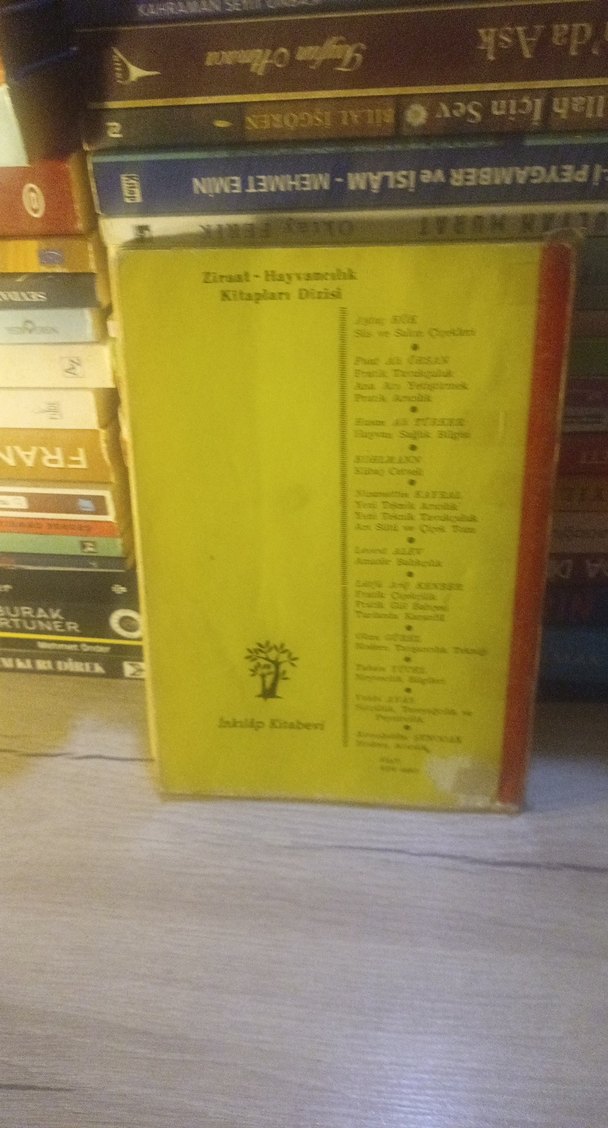 Pratik Çiçekçilik Kitabı - Görsel 2