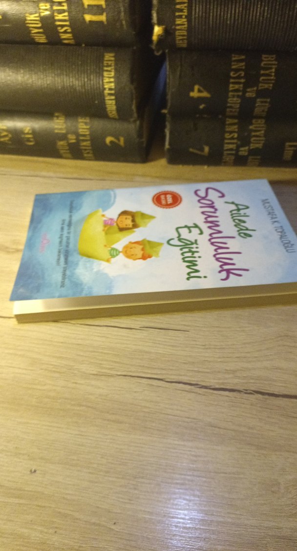 Ailede Sorumluluk Eğitimi - Mustafa K. Topaloğlu - Görsel 3