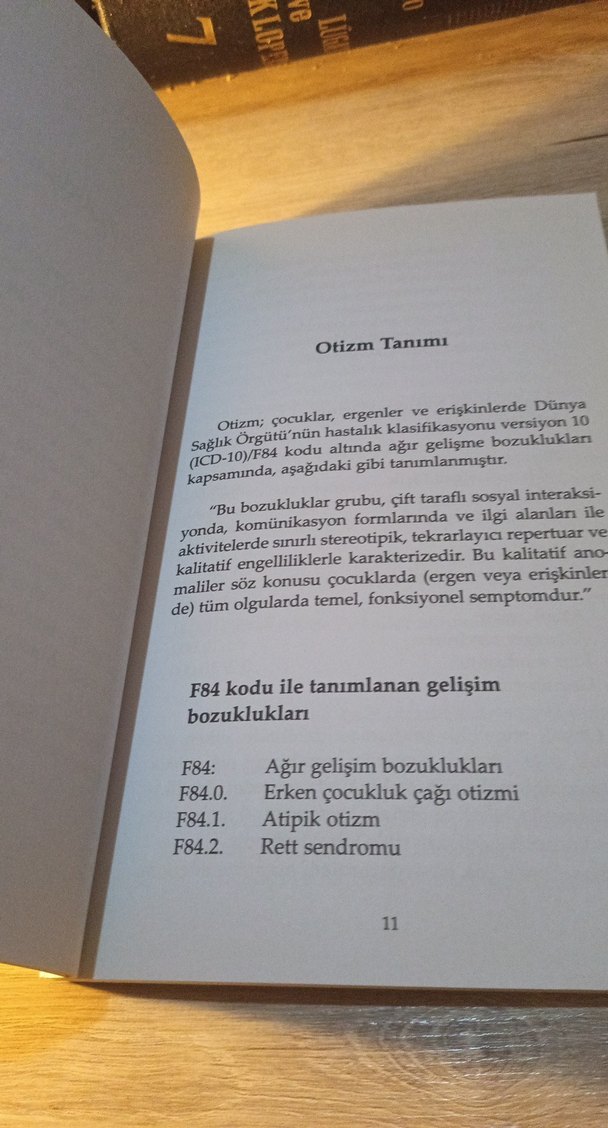 Otizm İşitsel Entegrasyon Kitabı - Görsel 5