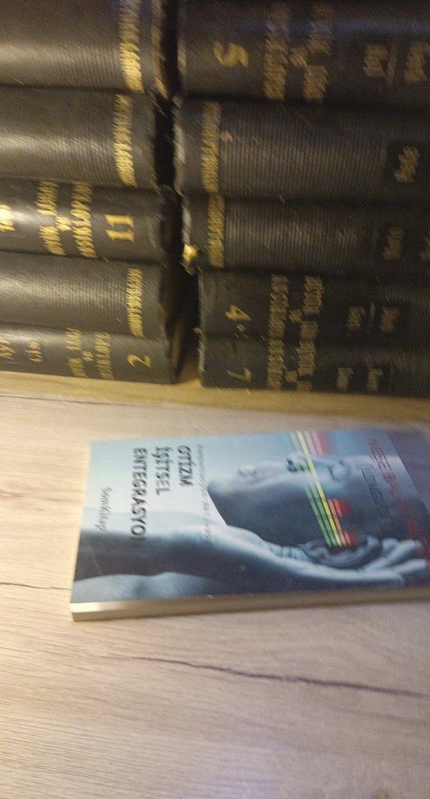 Otizm İşitsel Entegrasyon Kitabı - Görsel 3