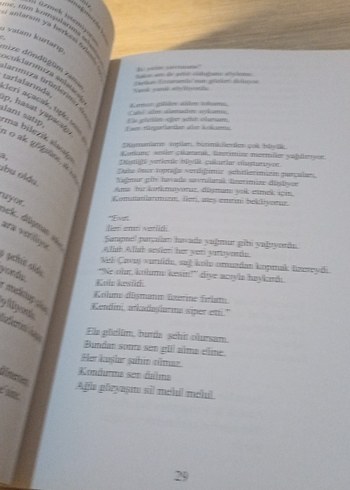 Ben Bir Sevgi Dağıyım Anadolu'da - Dr. Hüseyin Demirci - Görsel 3