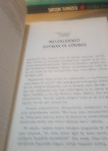 Meleklerle Yaşamak - Beki İkala Erikli - Görsel 8