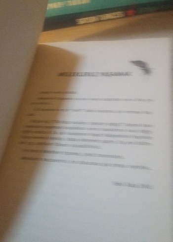 Meleklerle Yaşamak - Beki İkala Erikli - Görsel 6