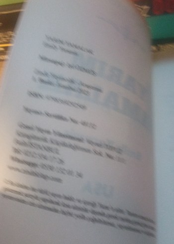 Yarım Yamalak - Emily Yaramis - Görsel 3