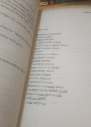 Yarım Yamalak - Emily Yaramis - Görsel 5