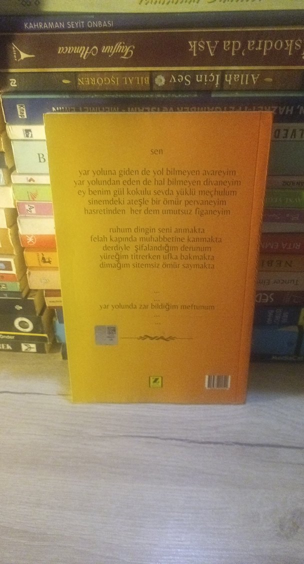 Yarım Yamalak - Emily Yaramis - Görsel 2