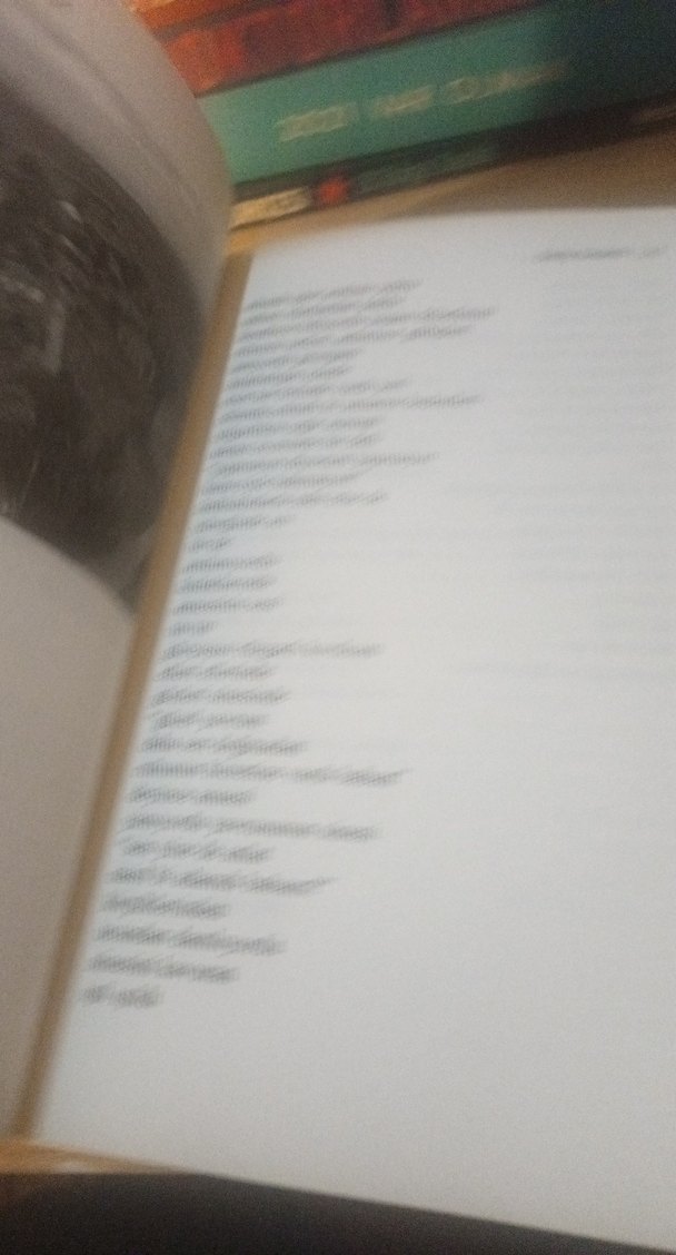 Yarım Yamalak - Emily Yaramis - Görsel 4