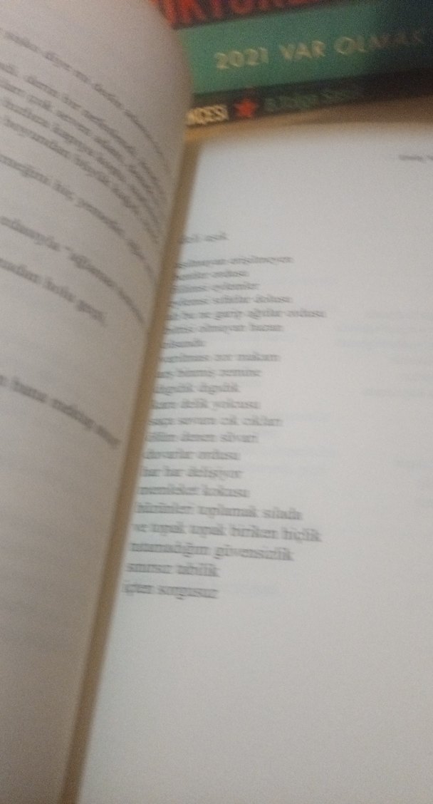 Yarım Yamalak - Emily Yaramis - Görsel 5