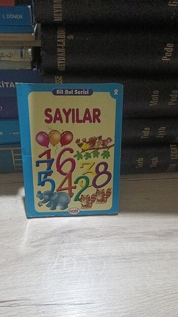 BİL BUL SERİSİ 2/ SAYİLAR