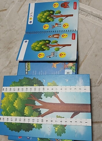 Beden Renk Math forest matematik oyunu learned game