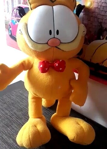 Garfield kedi