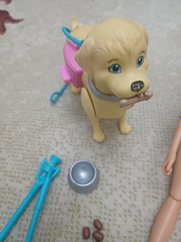 orjinal barbi - Görsel 5