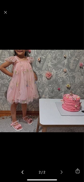 Diğer 40 adet büyük küçük pembe gül