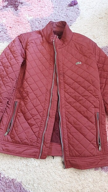 lacoste mont