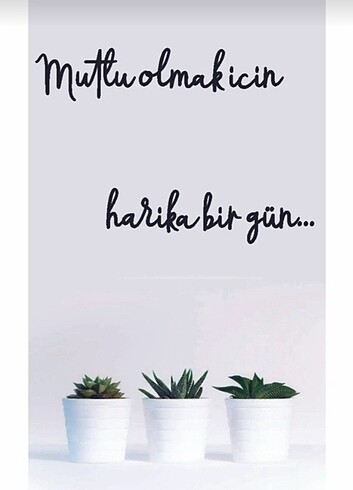 Ahşap Duvar Dekor