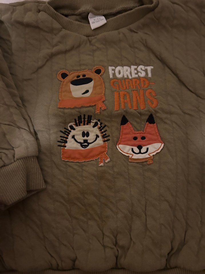 Erkek Çocuk Desenli Sweatshirt - Görsel 3