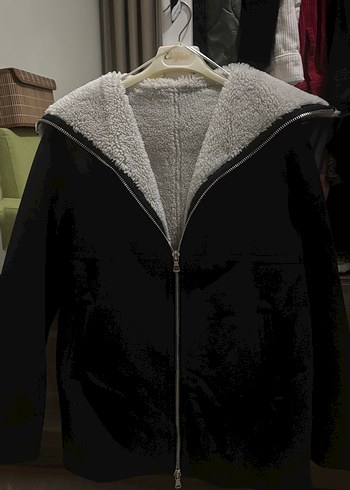 Siyah kaban - Görsel 2