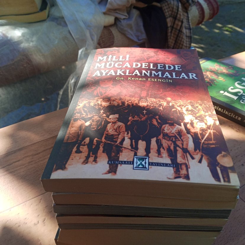 Atatürk ve Milli Mücadele Kitapları Seti - Görsel 3