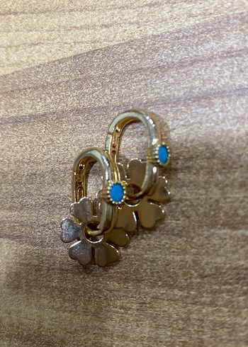 Altın Renkli Çelik Küpe - Görsel 3