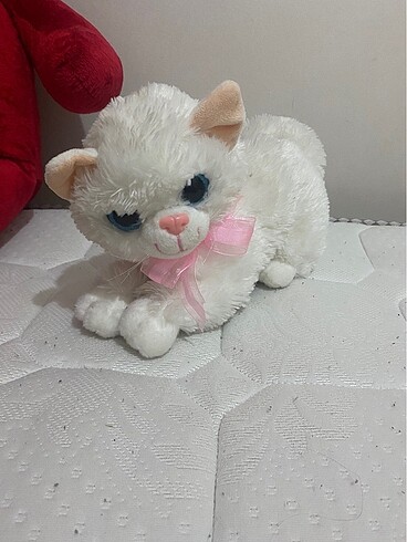 peluş kedi