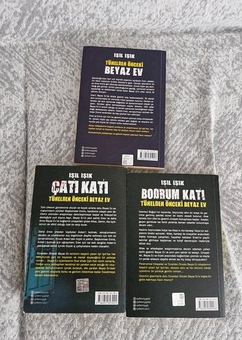 Işıl Işık - Tünelden Önceki Beyaz Ev Serisi - Görsel 2